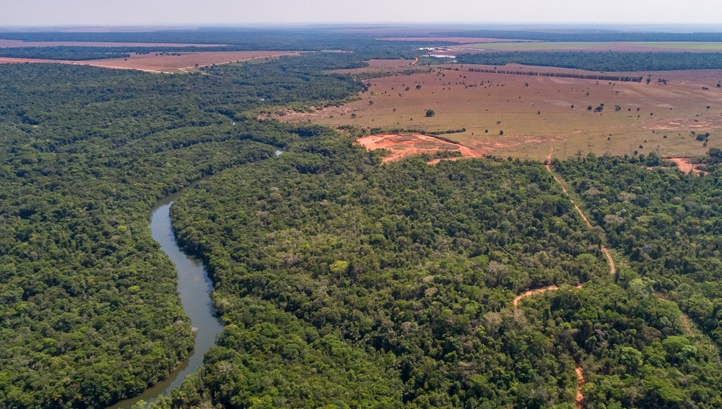 Global demand for soy is expected to increase 4% annually, mainly for its use as an ingredient in animal feed. Soy produced in the Amazon represents 10% of Brazil’s total soy production